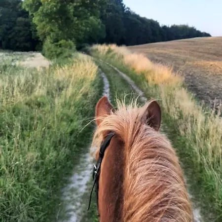 Mini-lejlighed Med Kokken - Deler Bad Og Toilet Med Nabolejlighed 1 Asperup