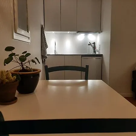 Mini-lejlighed Med Kokken - Deler Bad Og Toilet Med Nabolejlighed 1 Appartamento *