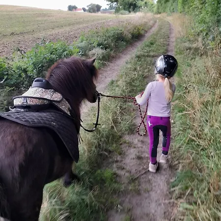 Mini-lejlighed Med Kokken - Deler Bad Og Toilet Med Nabolejlighed 1 *