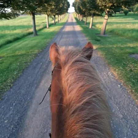 Appartamento Mini-lejlighed Med Kokken - Deler Bad Og Toilet Med Nabolejlighed 1